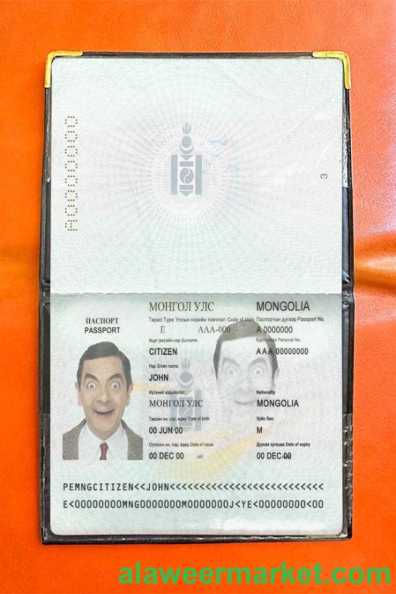Mongolia passport photo look